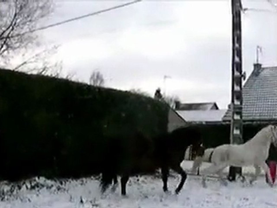 detente d hiver 2