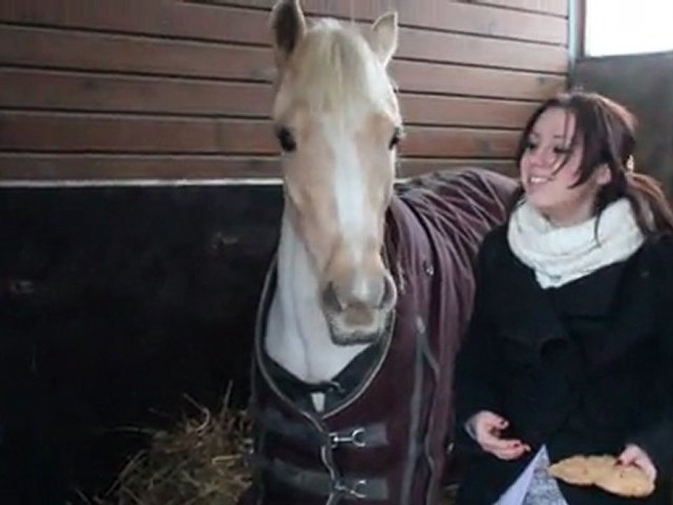 Joyeux Anniversaire Poney 4 ans !!!