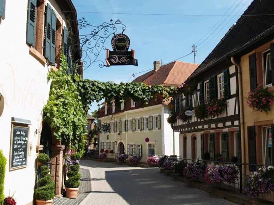Weinstrasse Radweg Impressionen