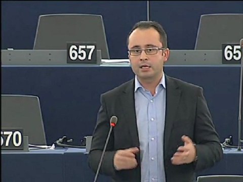 Cristian Silviu Buşoi on Egypt: recent developments