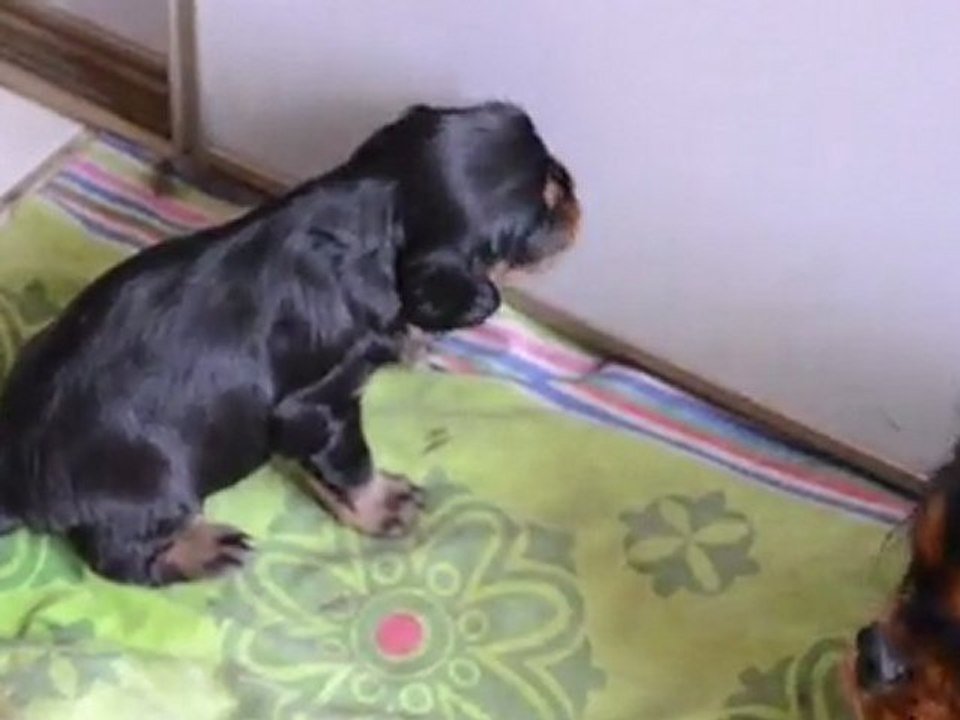 15/02/2012 Holly