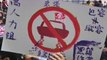 Hong Kong Protests Mainland Car Access