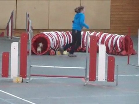 Ewok la chapelle rousselin