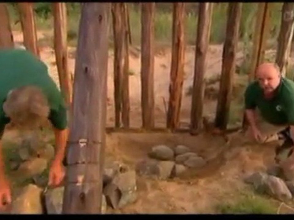 Vor 75 Millionen Jahren - Riesen Krokodil