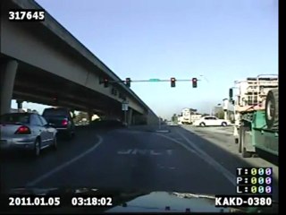 Police Escort Ducks to Safety