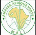 Afrique Verte sur RFI, problème d'approvisionnement au Nord Mali, le 16 février 2012