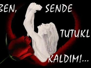 SeSLiFeNa, SeSLiFeNa.CoM, SeSLi FeNa