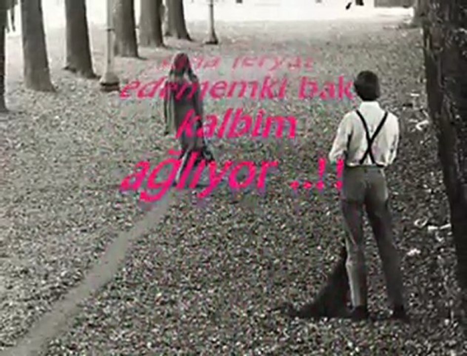 SeSLiSaLon18, SeSLiSaLon18.CoM, hani nerde