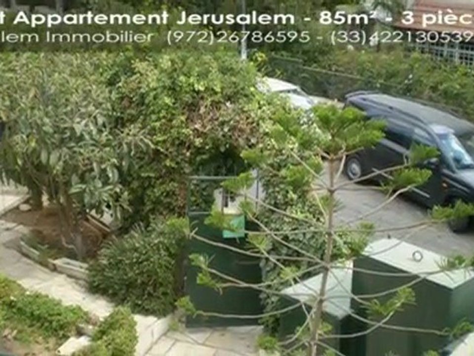 593 Superbe appartement 3 pièces  rénové à Moshava Germa