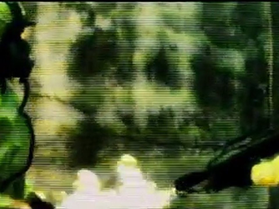 Prototype 2 - Intro Movie: Daddy's Coming Home
