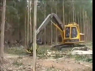 Efficient tree cutter