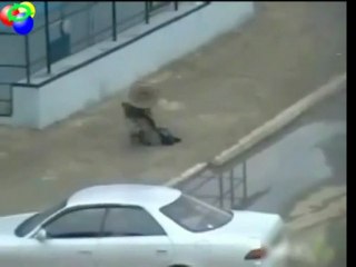 idiot of the year - a fuck-up