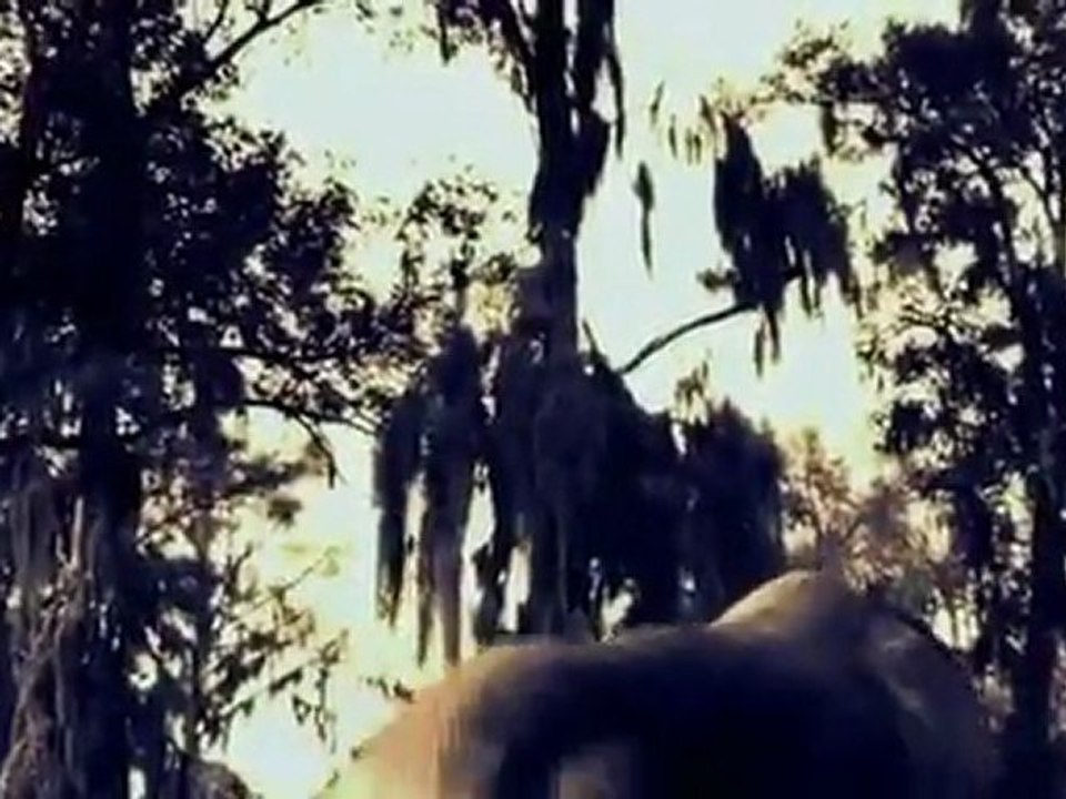 Vor 70 Millionen Jahren - Folge 9 - _Die Ufer des Todes - Pachyrhinosaurus - Alberta, Kanada