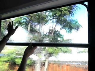 Window Tint Auckland Tint Professionals