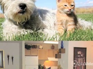 Wesley St. Claire Apartments in Lawrenceville, GA - ...