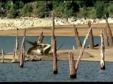 Vor 65,5 Millionen Jahren - Der Untergang der Dynastie