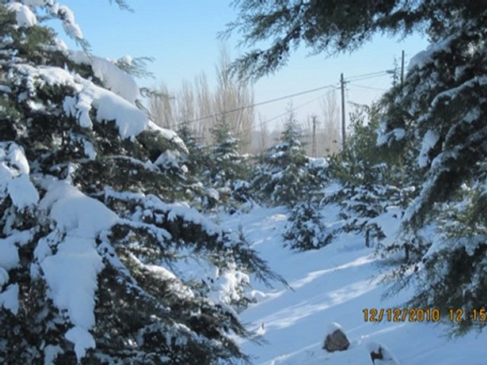 Koçaş Köyü-bizim memleket