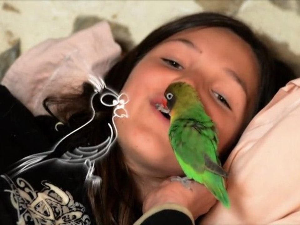 Envie d'être Amoureuse