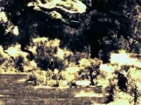 Vor 65,5 Millionen Jahren - - Folge 10 - _Die Jäger des T. Rex