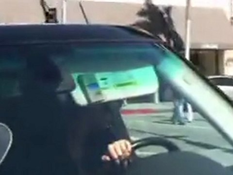 Nicky Hilton Has Nothing To Say About Dancing With The Stars