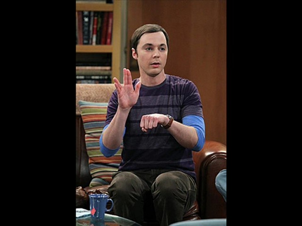 Big Bang Theory Season 5 Episode 17 - The Rothman Disintegration Part 2