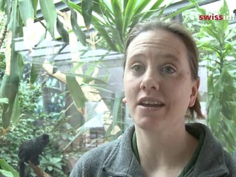 Shining a light on endangered nocturnal animals