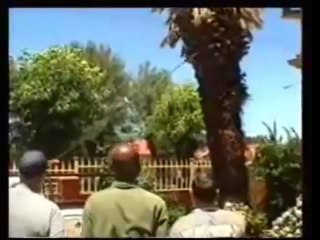 Boere pulls down palm tree !