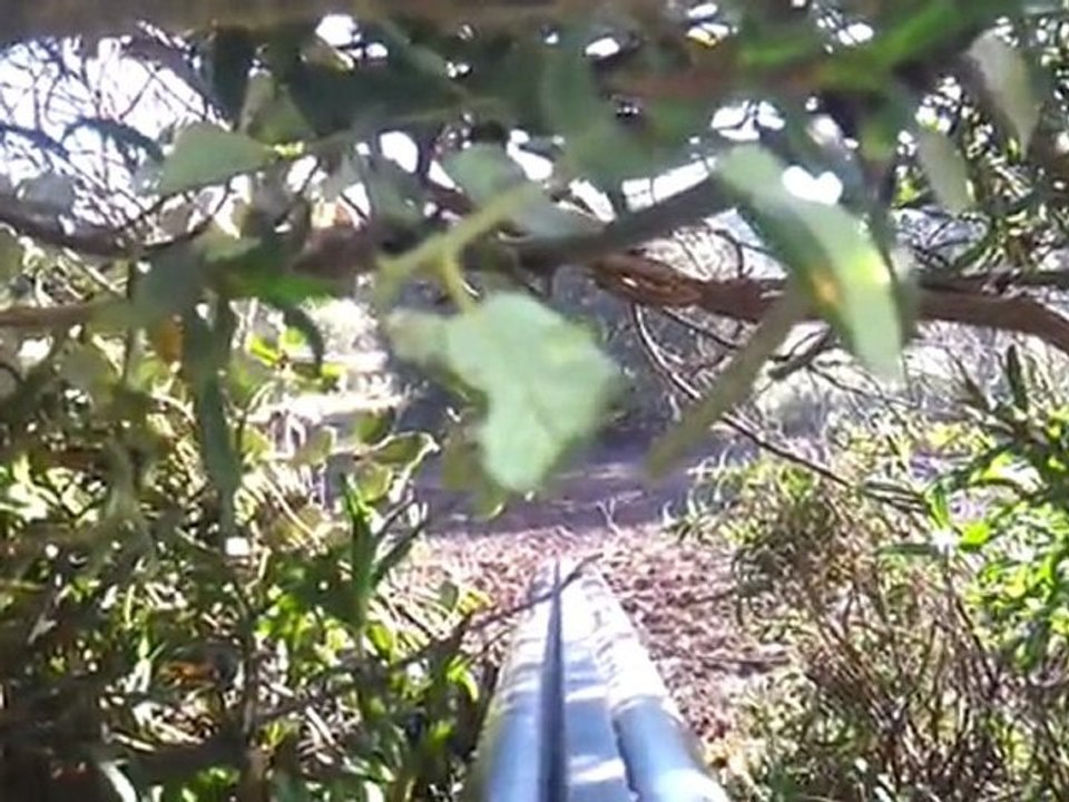 video-2012-01-21-11-18-46