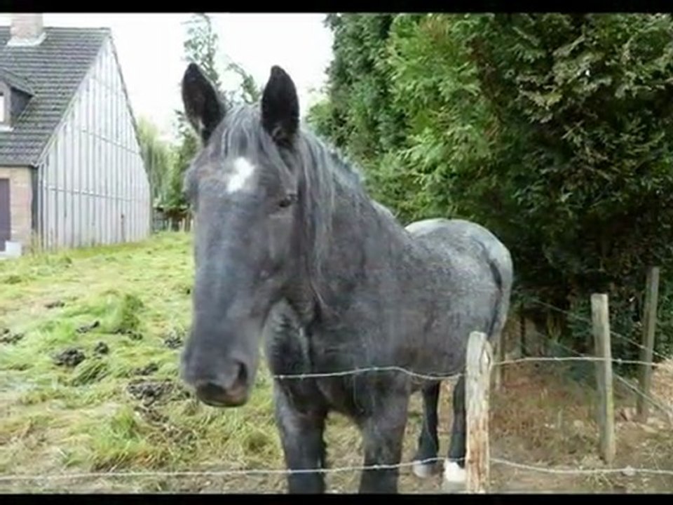 année 2011 - mois d'octobre - nº 46