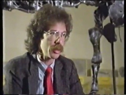 Vor 65,5 Millionen Jahren - Auf der Jagd nach den Echsen der Urzeit