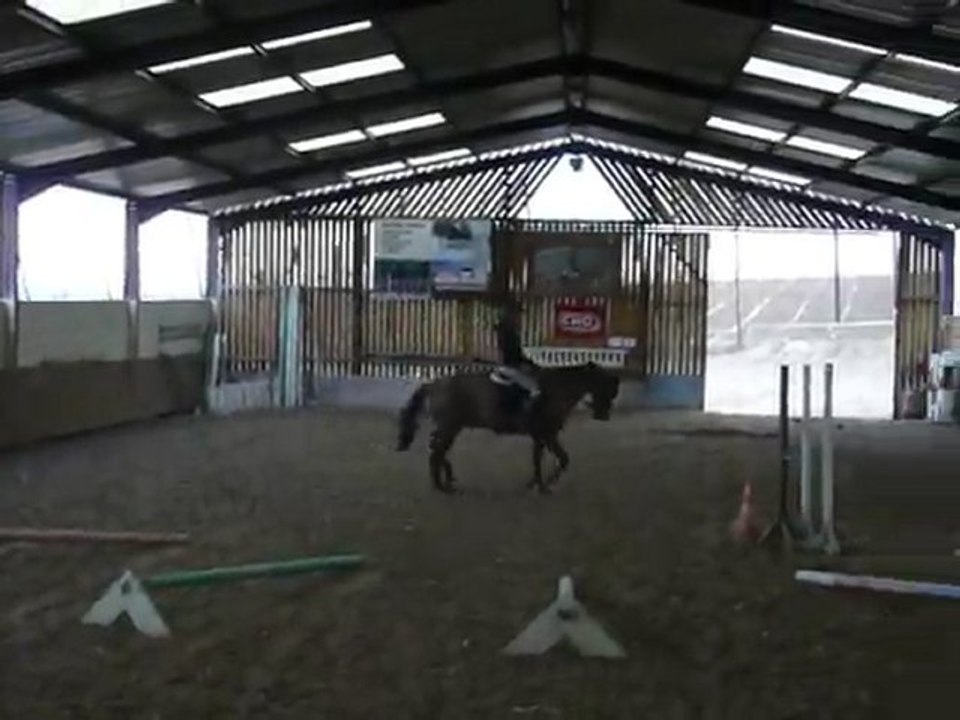 Linou et Lapinou 5