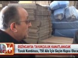ERZİNCAN’DA TAVUKÇULUK KANATLANACAK 17.02.2012