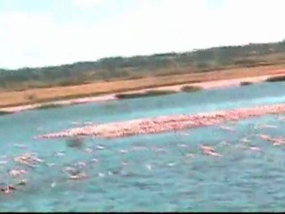 Poetic Night video_0001