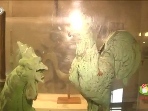 Visite de l'Eglise Saint Christophe de Tourcoing