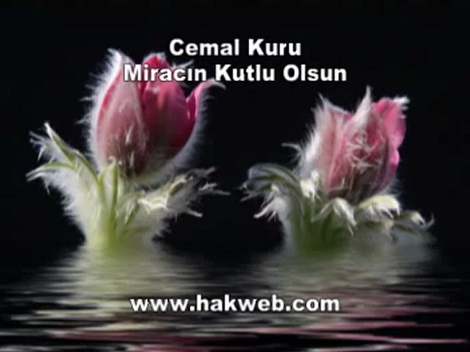Cemal Kuru - Miracın Kutlu Olsun