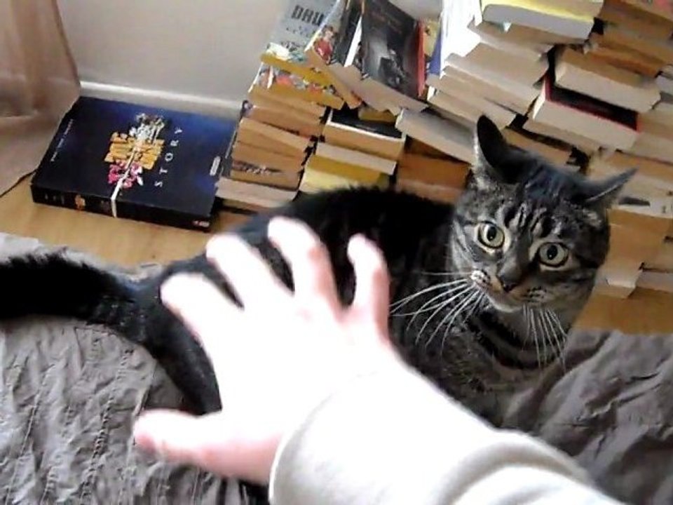 Nounouche fait la bagarre !