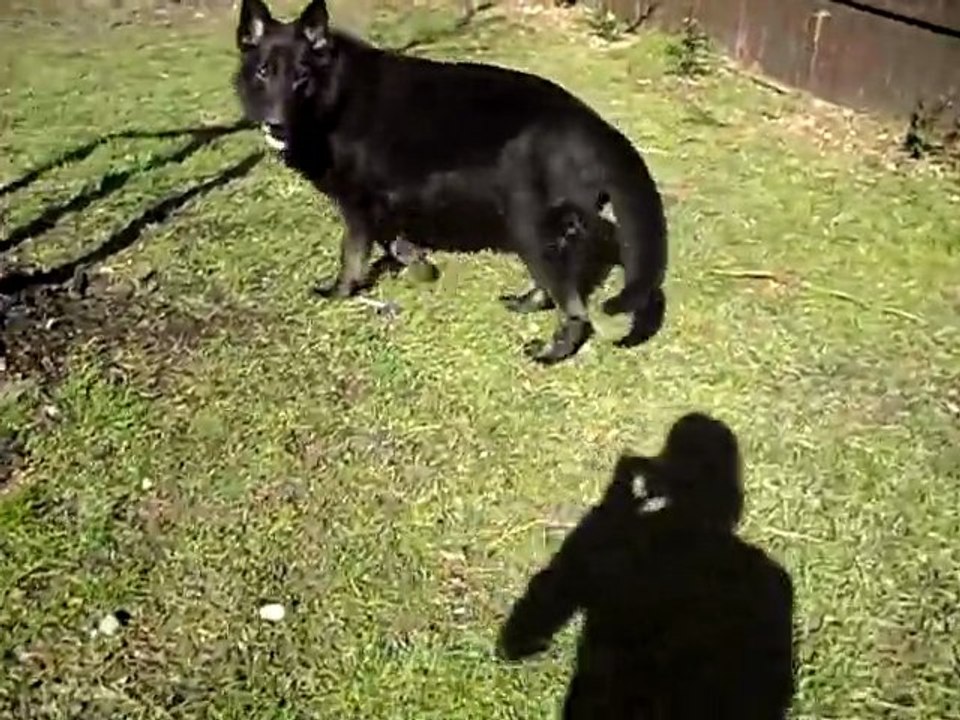 Derik out on a walk
