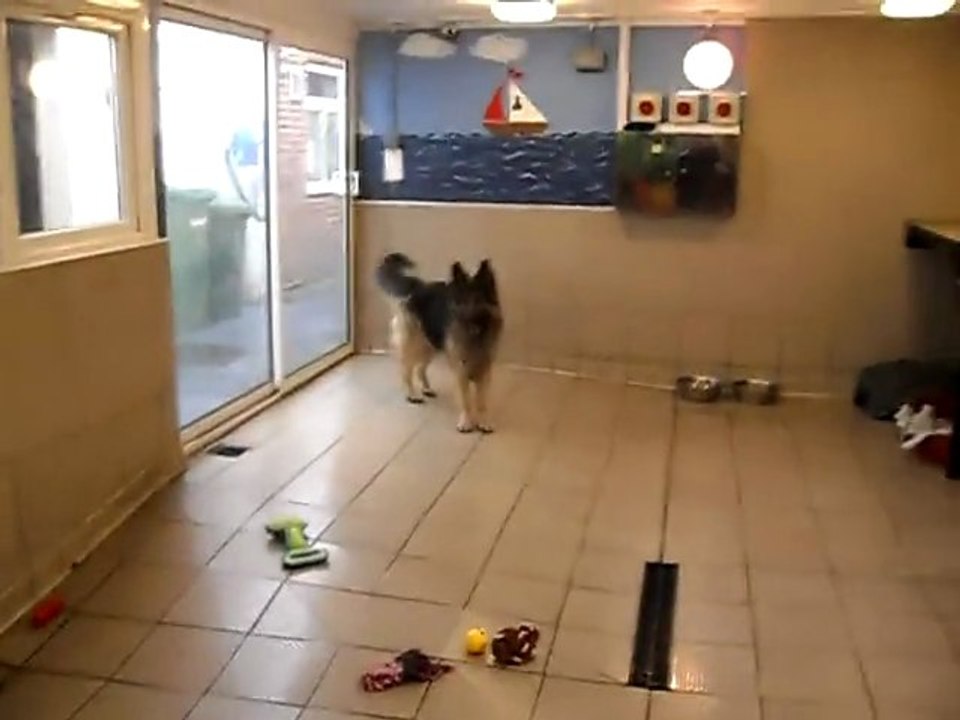 Baloo learning basic commands