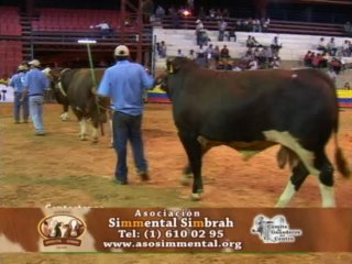 18 FEBRERO 2012 san jose de la esperanza_2