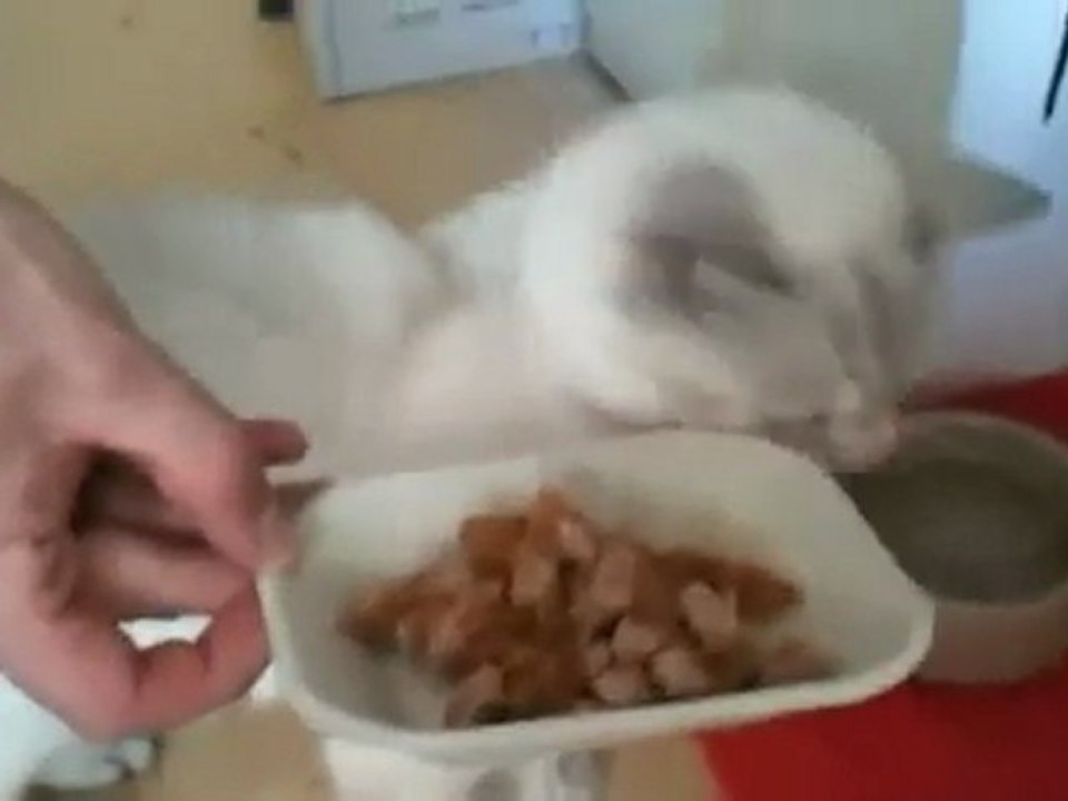 Princess eats lunch