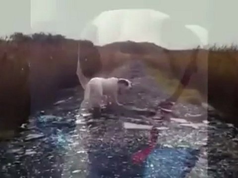 Romeo on hoilday with his foster carer in Cornwall