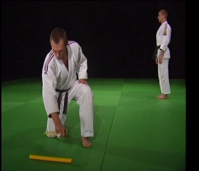 Les 20 techniques imposées de JU-JITSU (DVD FFJDA)