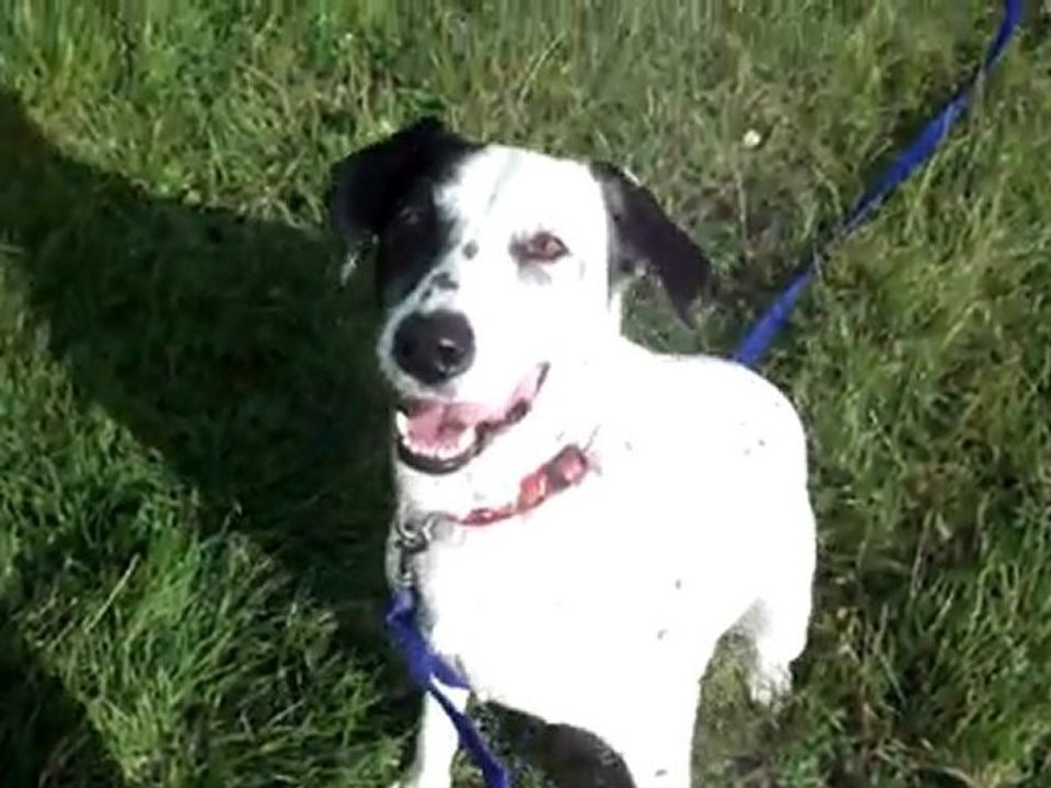 Lucy