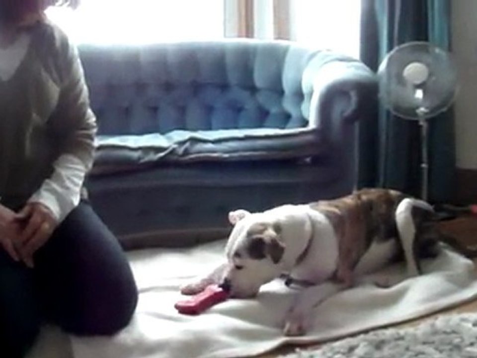 Maisy