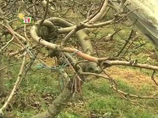 JT agri85TV  du vendredi 17 février 2012