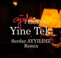 Ajda Pekkan-Yine Tek(Serdar Ayyıldız Disco Ambient mix)