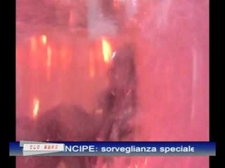 Tlc - Tg 16 Febbraio 2012