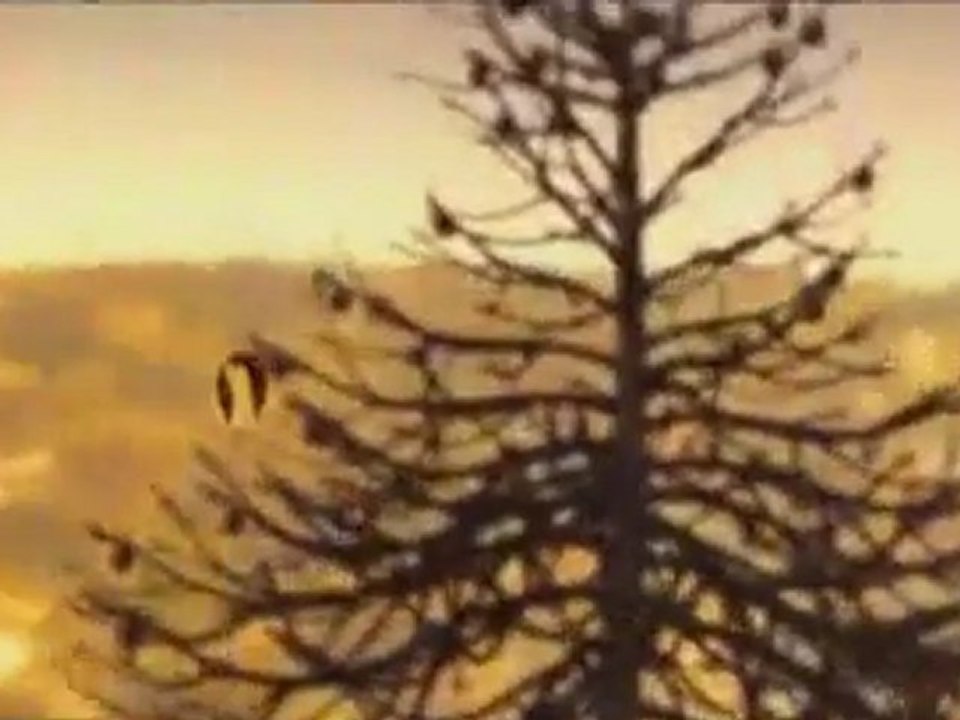 64,018,143 BC--Apocalypse der Urzeit -1- Das Ende der Dinosaurier _ - Angriff aus dem All