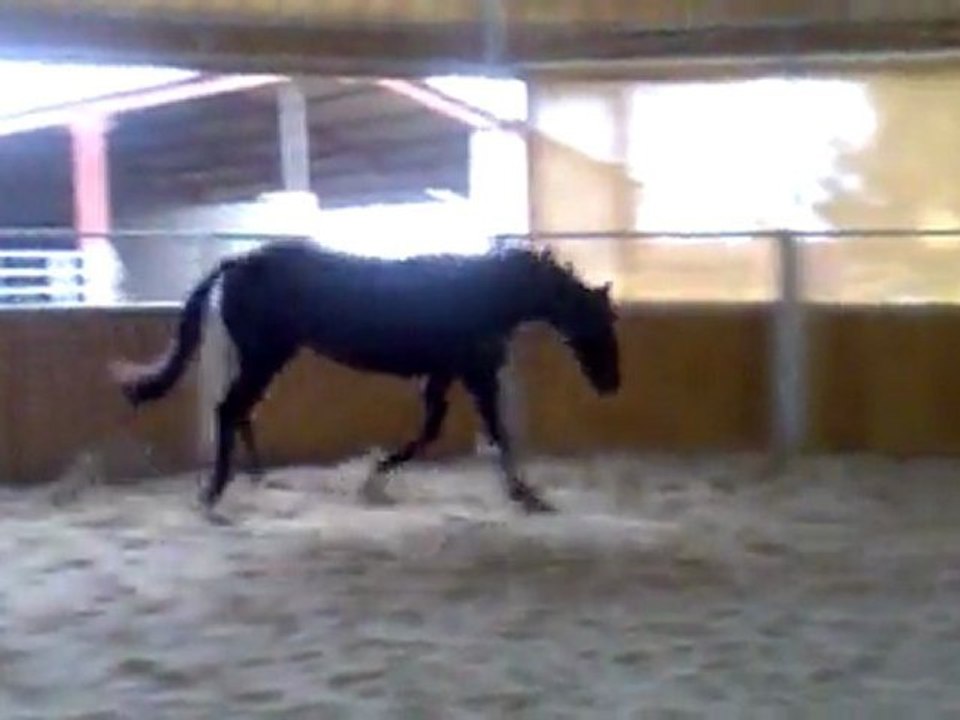 17022012011
