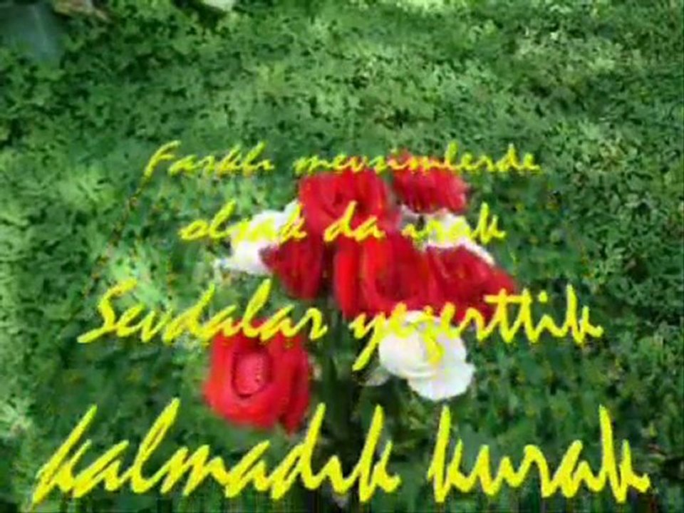 Sen benimsin ben de senin ( şiir) ...Dursun ELMAS